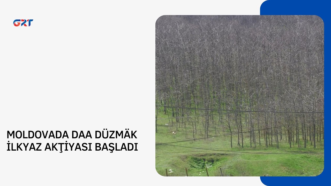 MOLDOVADA DAA DÜZMÄK İLKYAZ AKŢİYASI BAŞLADI