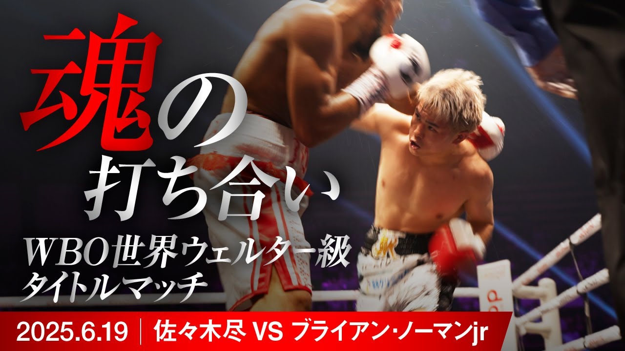 佐々木尽 vs ブライアン･ノーマンJr 【リングサイド映像】【ハイライト】#佐々木尽  #ボクシング #boxing