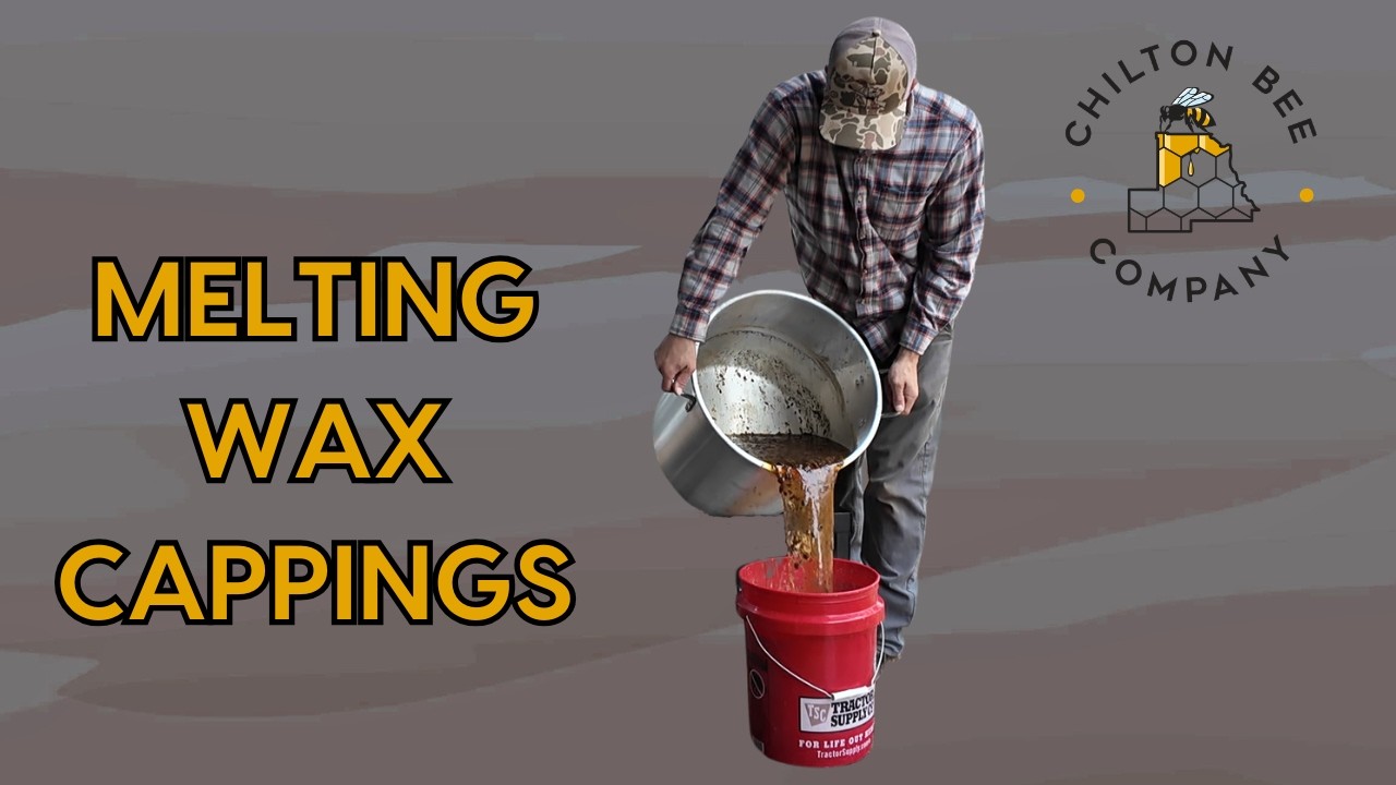 Melting Wax Cappings