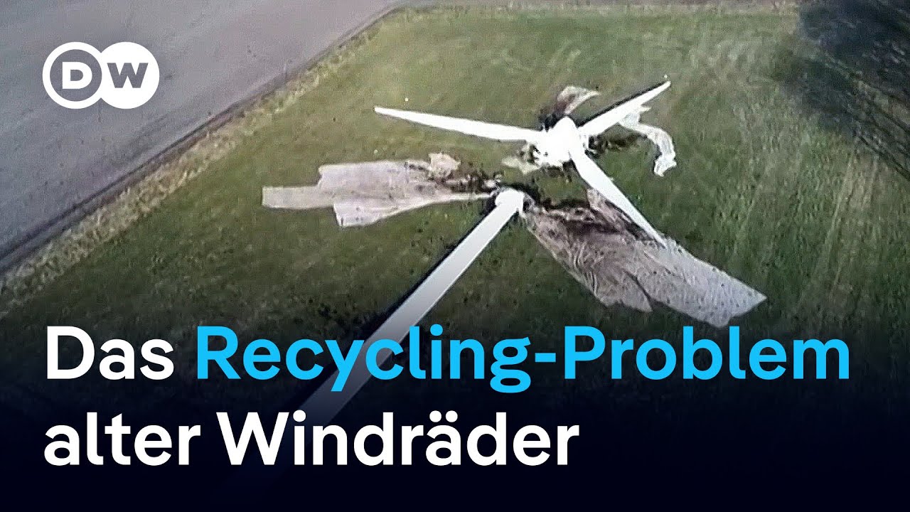 Warum Windräder nicht nur klimafreundlich sind | DW Business
