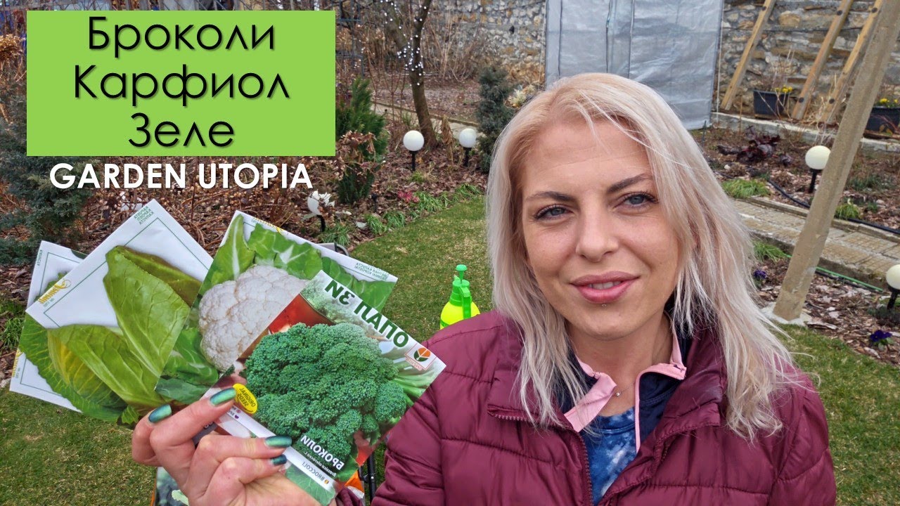 Засяване на броколи, карфиол и зеле