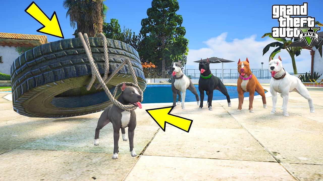 YAVRU PİTBULL KAS GELİŞTİRİYOR VE HERKESTEN BÜYÜK OLUYOR! - GTA 5