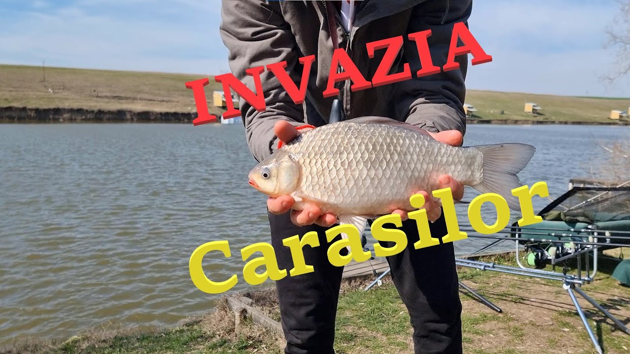 M-au Invadat Carasii pe Candeasca Lakes 1