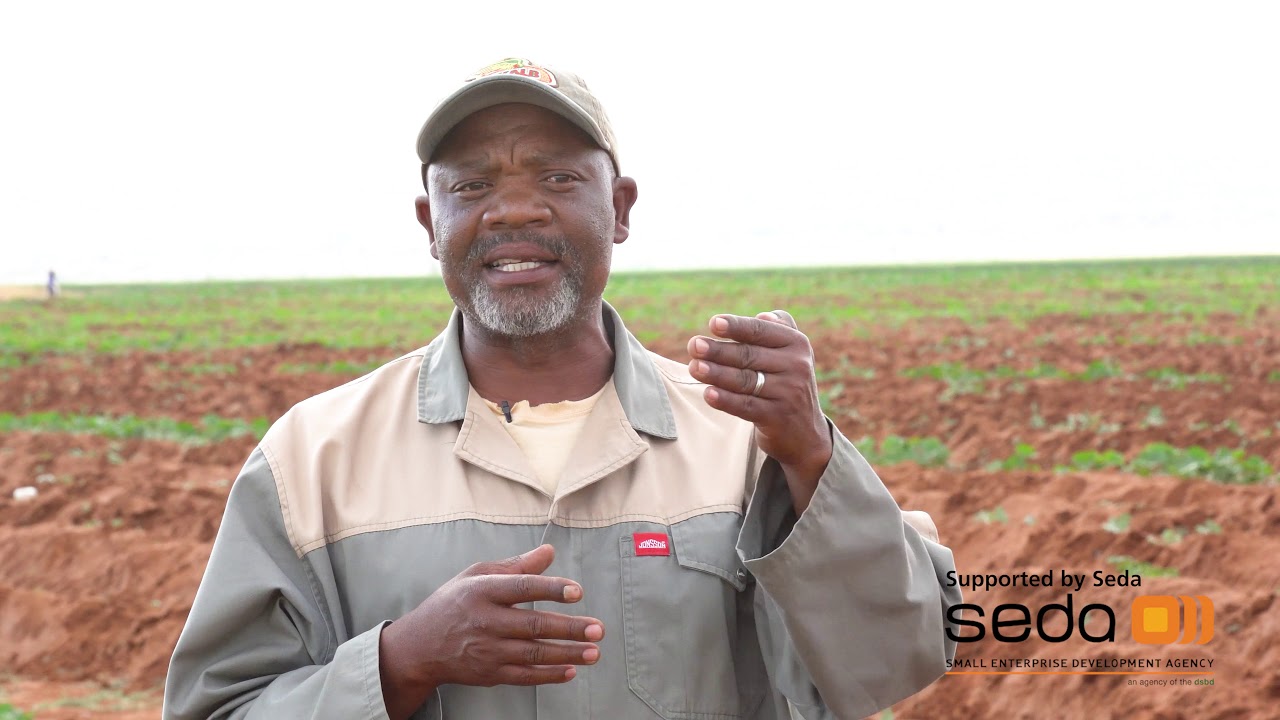 Letshabo Sons Cooperative - another Seda Success story