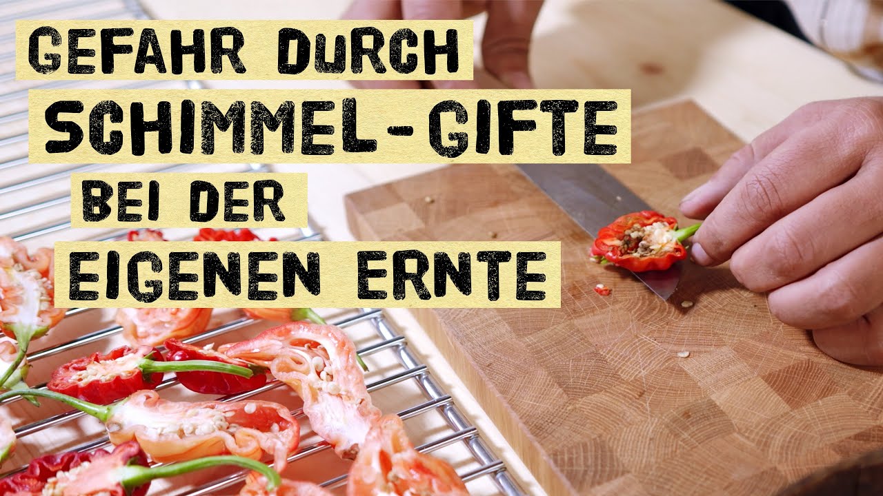 So verhinderst du gef&auml;hrlichen Schimmel beim haltbar machen deiner eigenen Ernte - Selbstversorgung