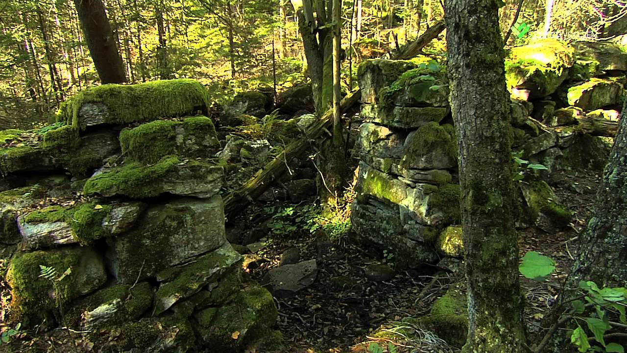 Miljöhänsyn: Hänsyn till kulturmiljöer vid skogsbruk (3)