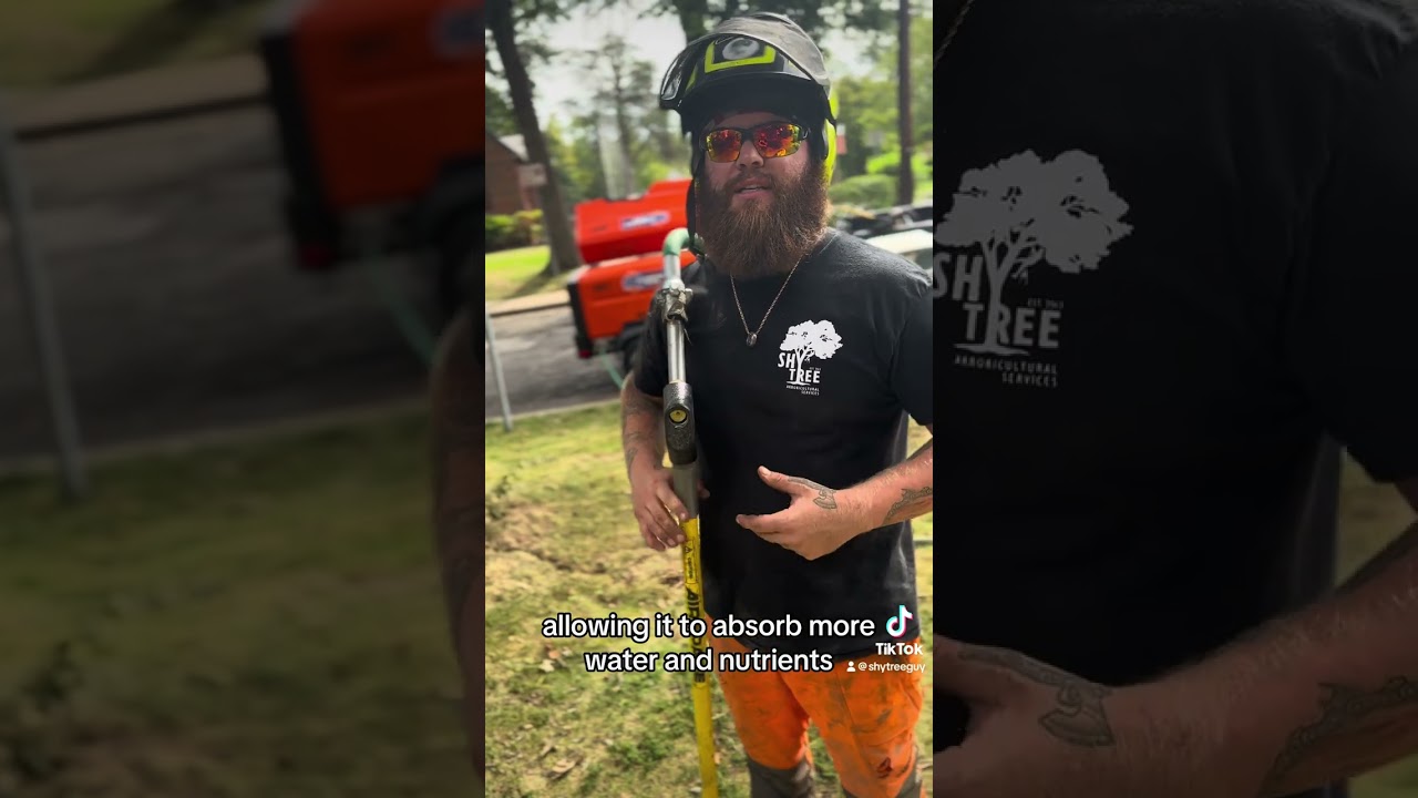 Advanced Tree Care: Airspading, Root Pruning, and Cambistat Application on a Large White Oak