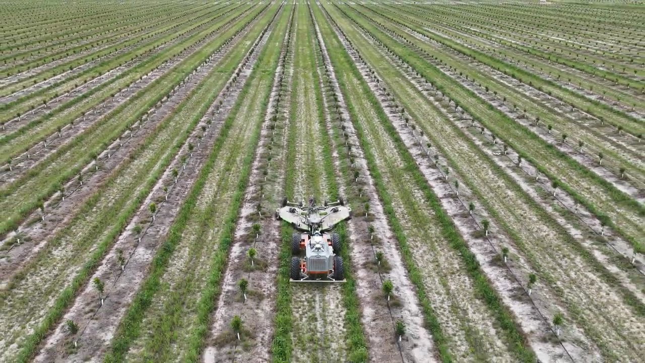 Autonomous Mowing