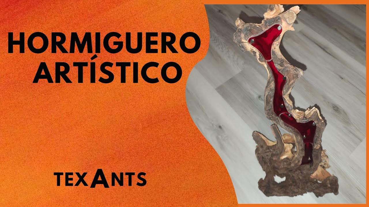 🚩EL Hormiguero de MADERA más DIFÍCIL que hice - Lujo y ARTE  para tus hormigas