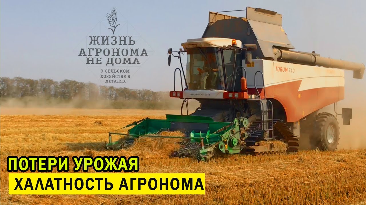 РИС, ПОТЕРИ УРОЖАЯ-ХАЛАТНОСТЬ АГРОНОМА! Сахарная свёкла-итоги уборки опытов.