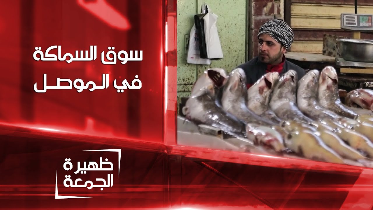 سوق السماكة في الموصل | ظهيرة الجمعة