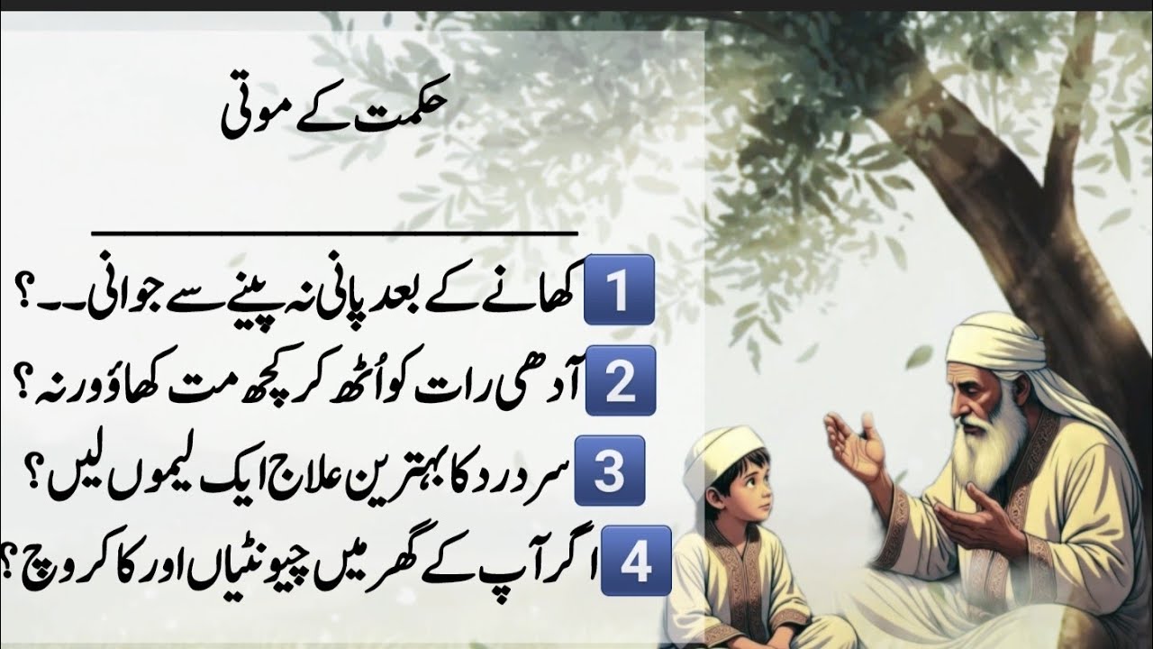 Rumi Quotes in Urdu | Ilm Ki Batein | Golden Lines Hikmat K Alfaz | Goledn Words | Hikmat Ki Batein 