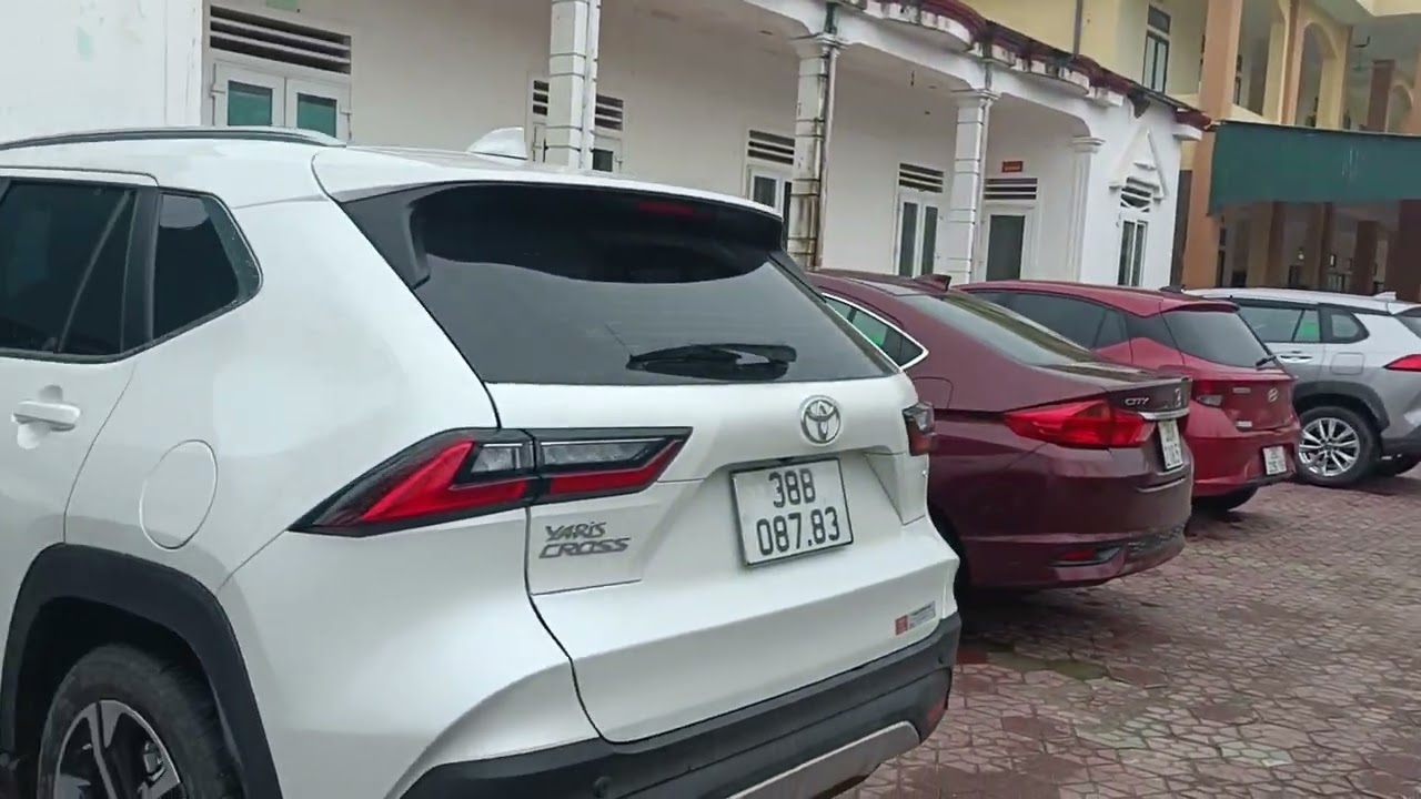 Trường em mùa tháng giêng xuân Bính Ngọ 