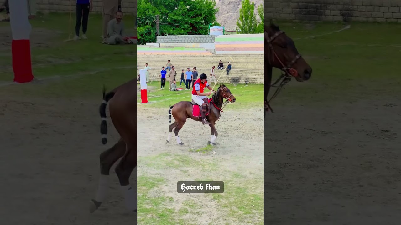 #follow #horse #pologame #polopassion #follow #gilgitbaltistan #chitral #chilas #polo