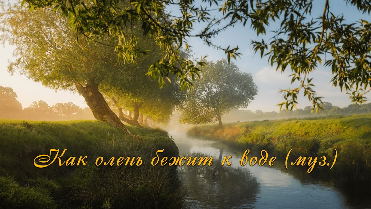 Как олень бежит к воде (муз.). МСЦ ЕХБ
