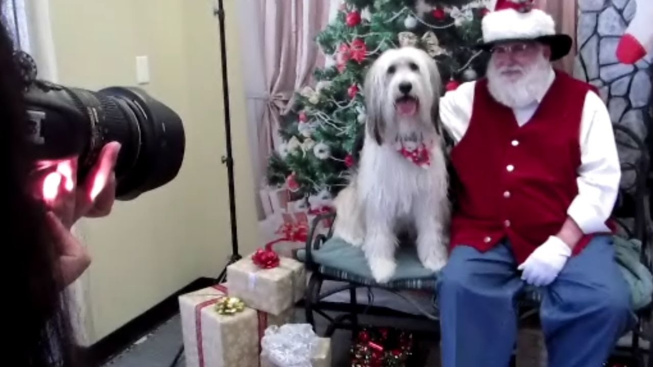 Vixen Tries Photos with Santa