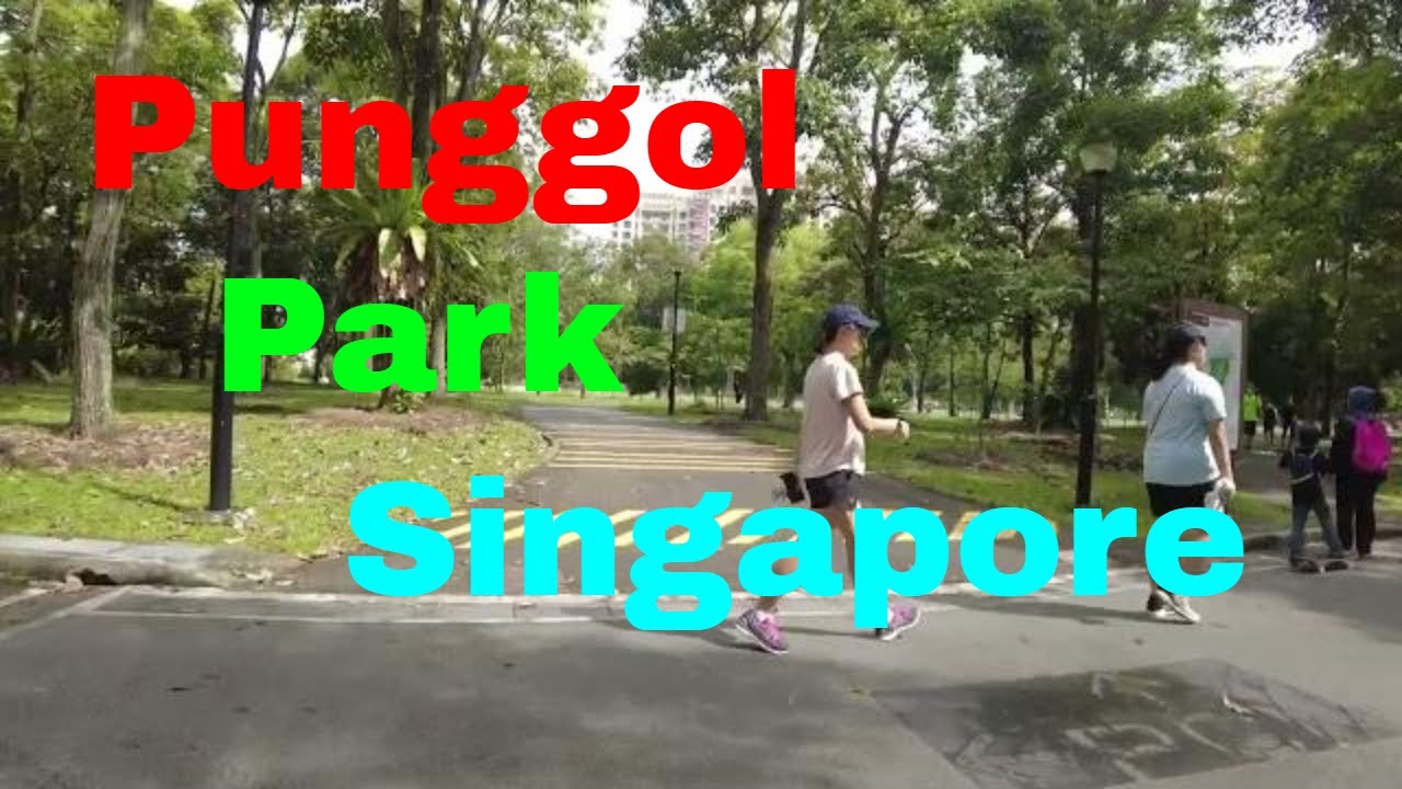 Exploring Nature at Punggol Park in Singapore #Punggol Park Singapore#在新加坡榜鹅公园探索自然风光