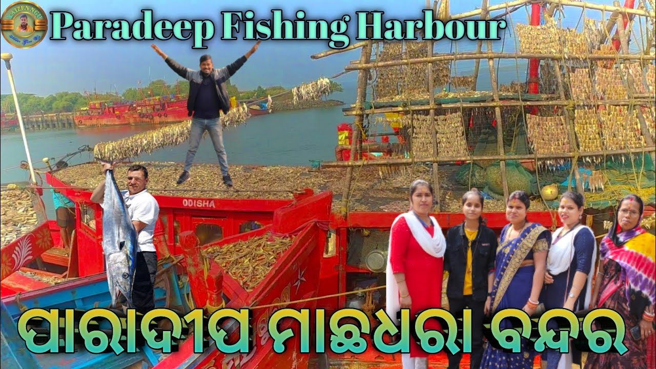 Paradeep Fishing Harbour || ପାରାଦୀପ ମାଛଧରା ବନ୍ଦର || Odisha Largest Fishing Harbour 