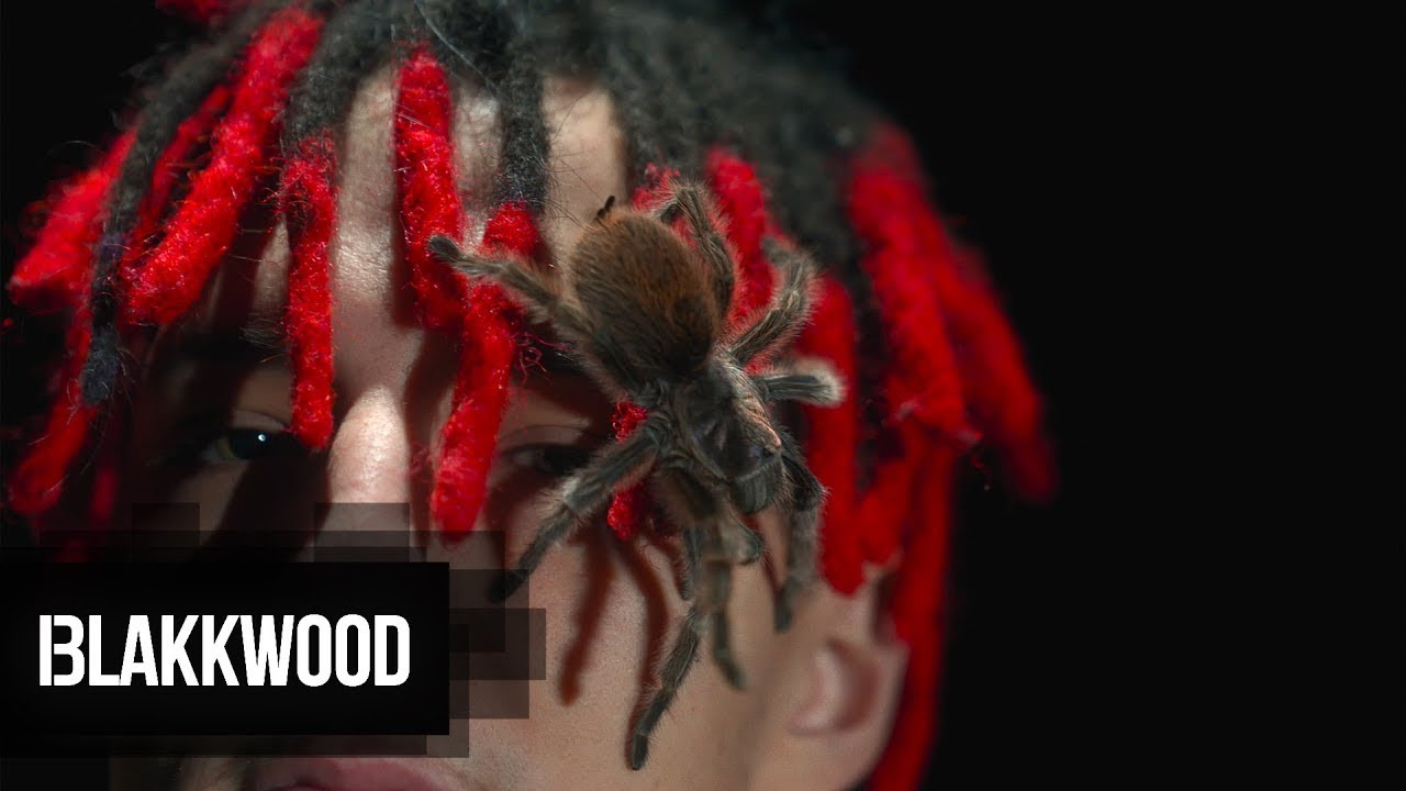 Psycho Rhyme - MAMO (Prod. Rhy Meek) OFFICIAL VIDEO
