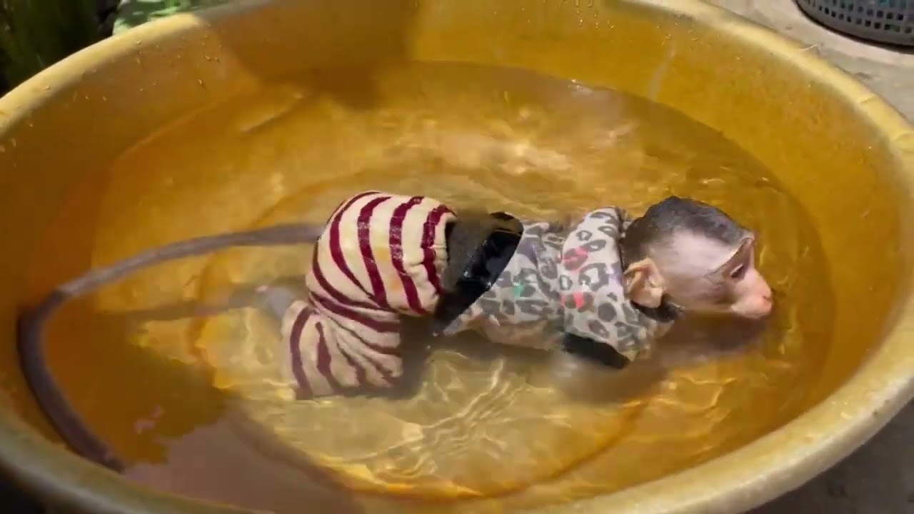Ой..! Мисс Кой пошла купаться одна.