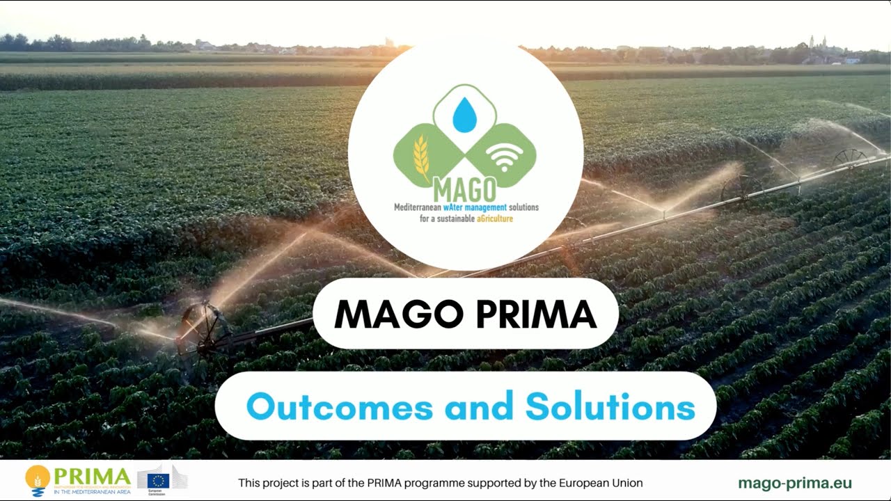 MAGO Outcomes: Advancing Agricultural and Water Management Solutions