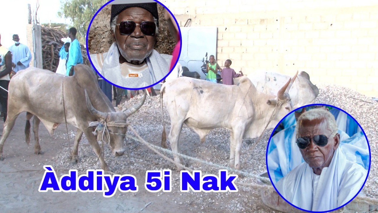 Sëriñ Móodu Fàllu Njaay Xalif Sëriñ Ahmadu Njaay Ñaay Jéebal na Sëriñ Amdi Xadi Faal 5i Nak Ci Li...