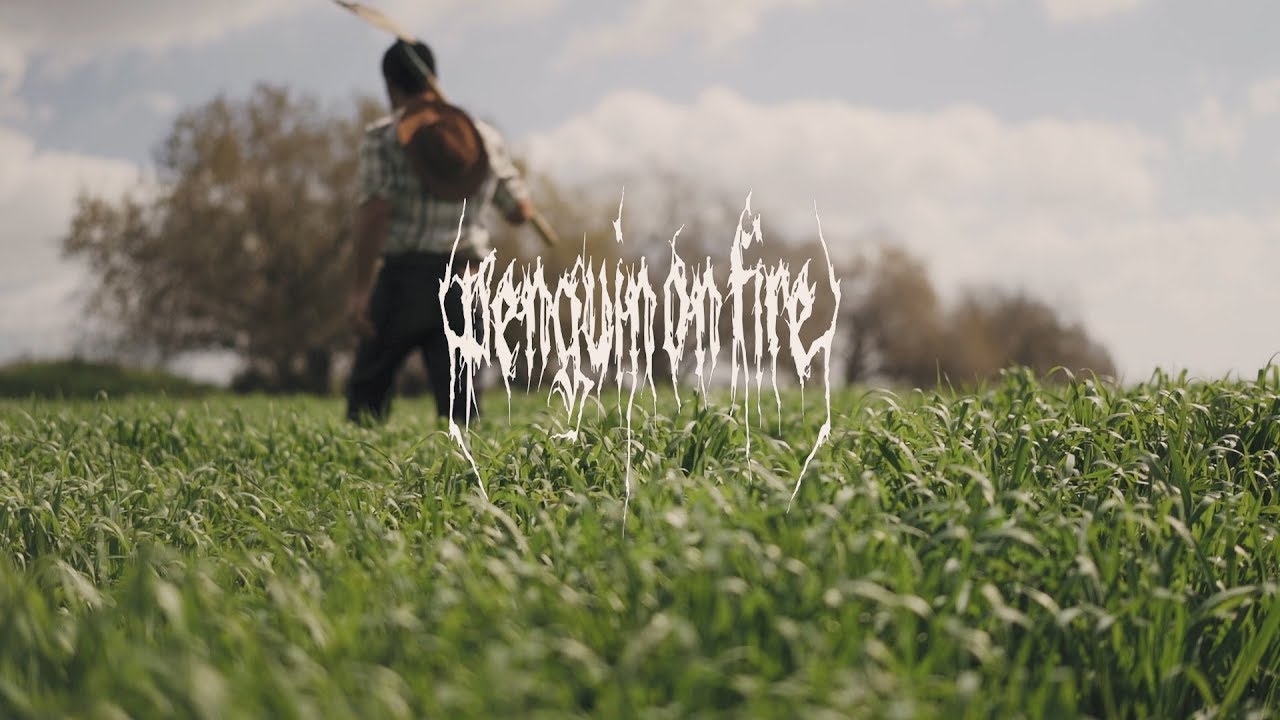 PENGUIN ON FIRE - TRACTOR [OFFICIAL MUSIC VIDEO] (2019) SW EXCLUSIVE