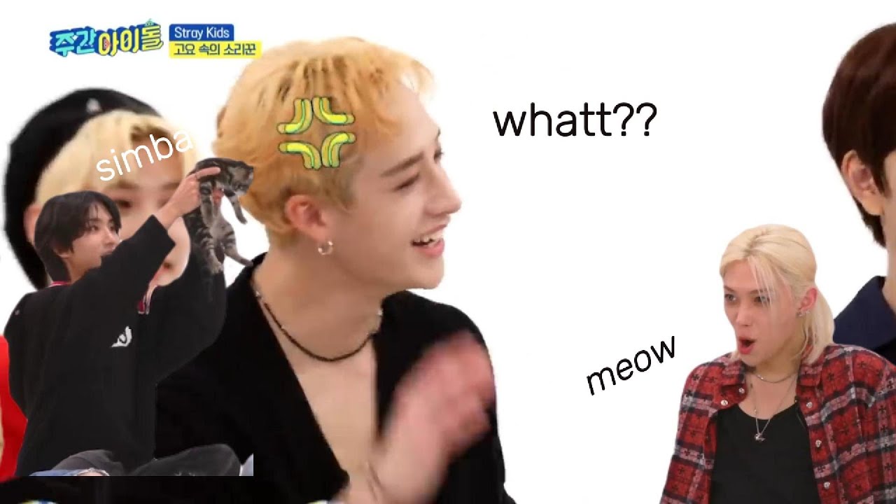 stray kids being unhinged in interviews