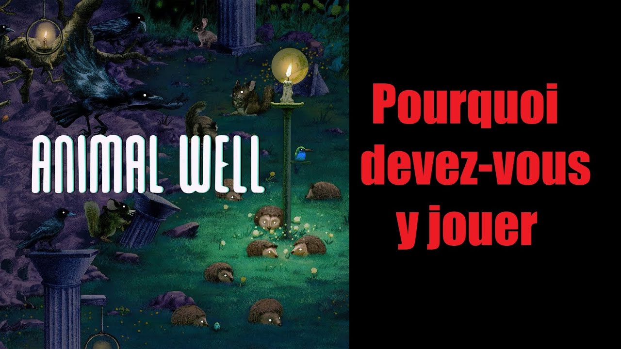 Pourquoi jouer à ANIMAL WELL?