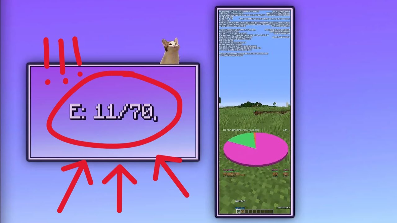 How to see E-Counter with Thin in MCSR (and piechart, check pinned)