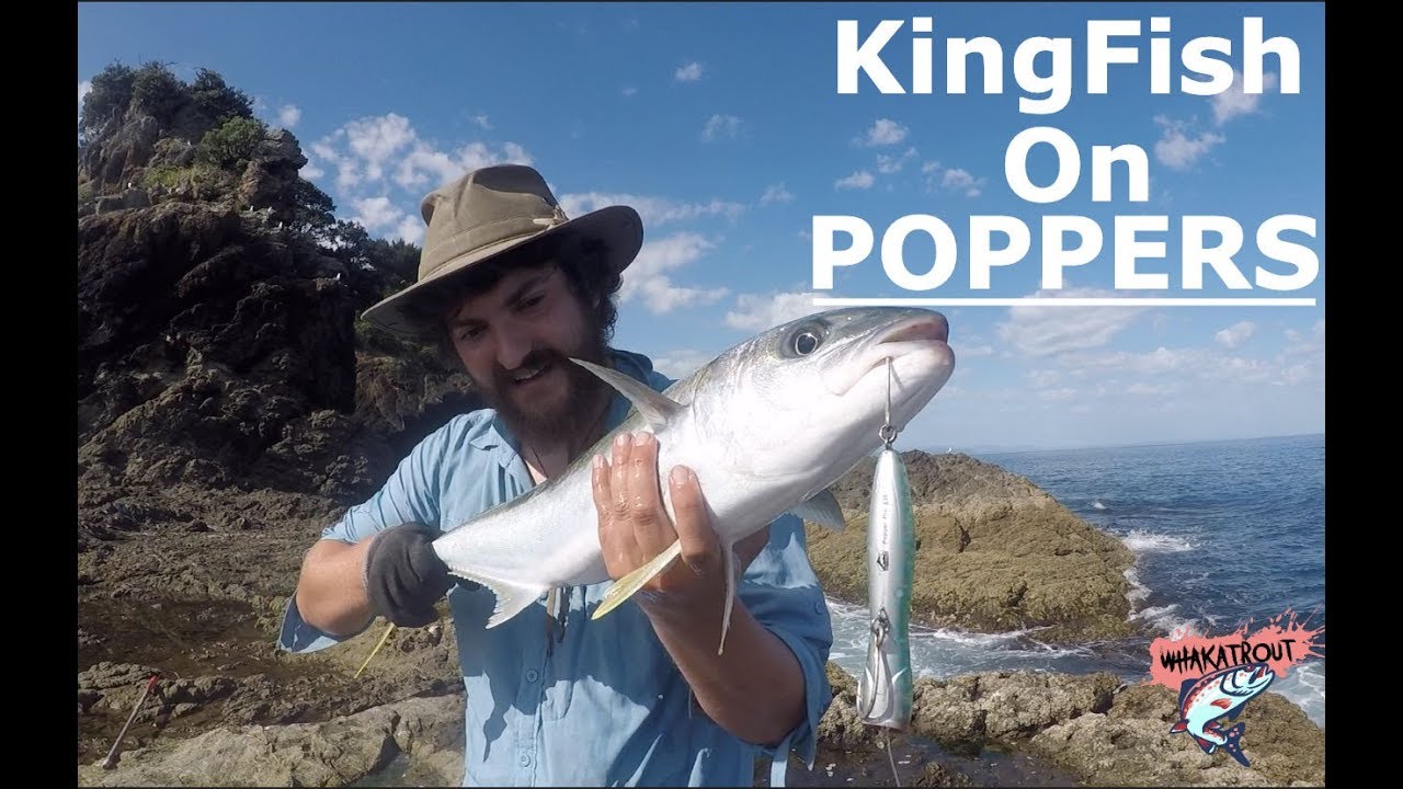 New Zealand KINGFISH on POPPERS!! OFF THE ROCKS!!