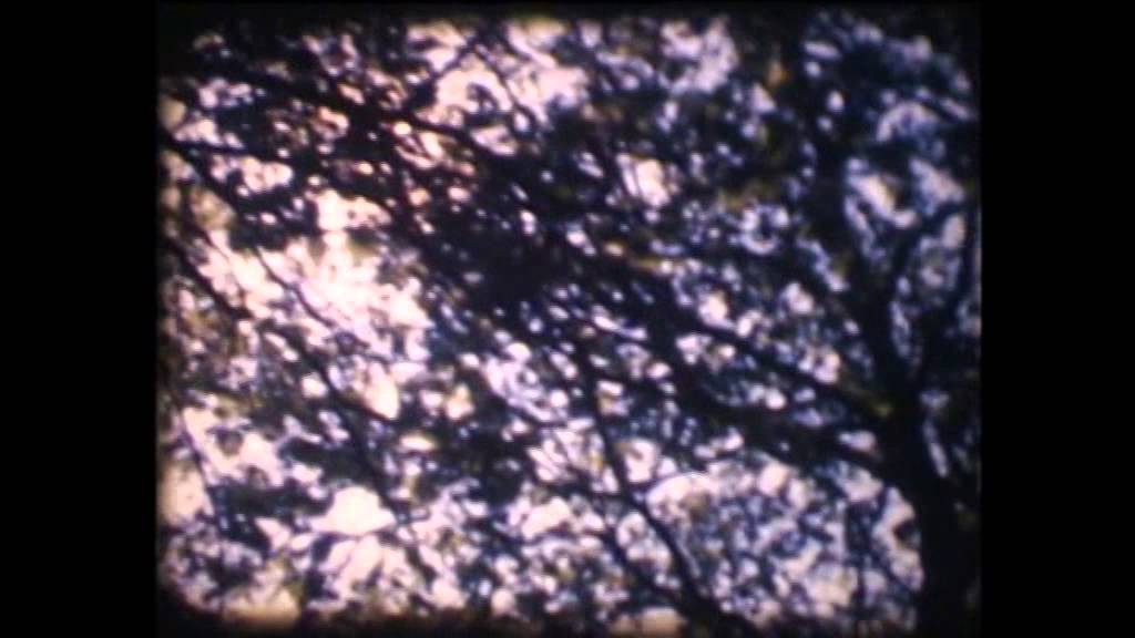 Ekeren-Donk, 1971: EH Goossenaerts, alias 