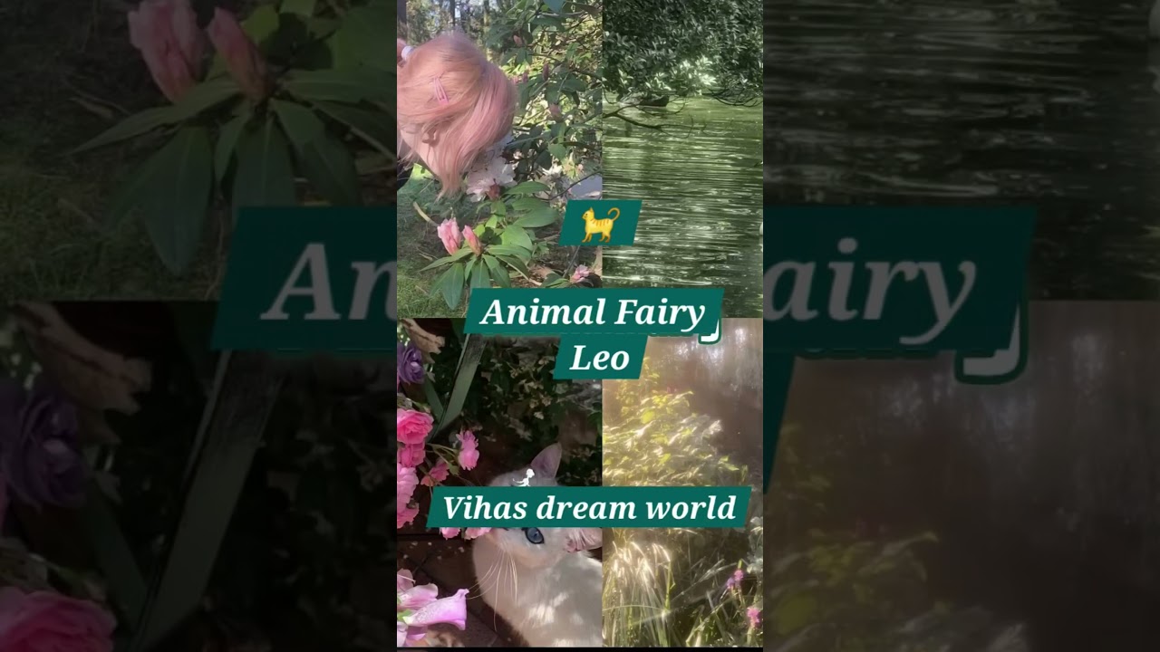 Which fairy are you ✨️🍀🦋 