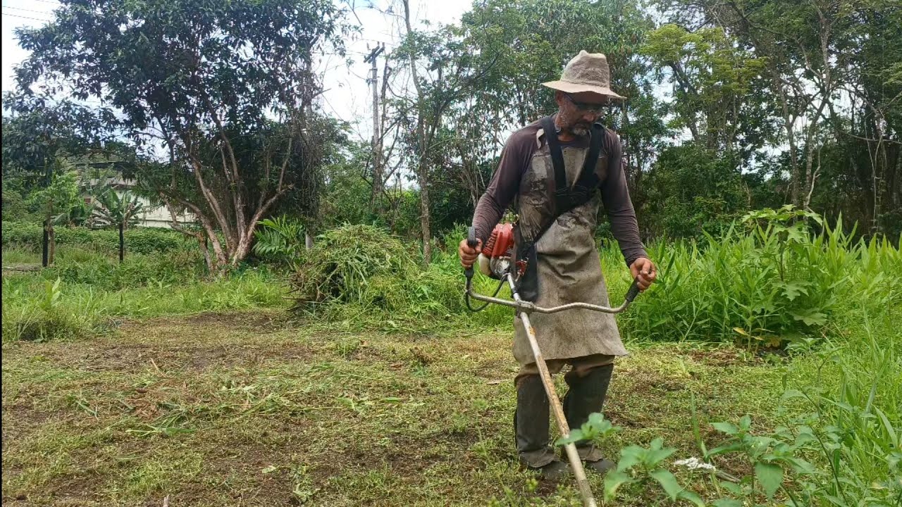 Trabalho muito duro na roça.#trabalho #plantas #vidanaroça #natureza #agro #agricultura .