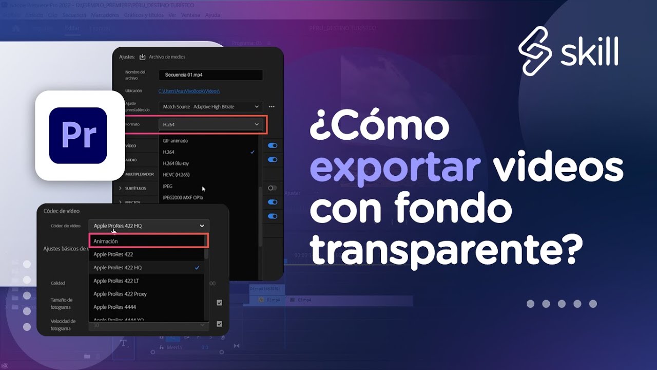 C&Oacute;MO EXPORTAR VIDEO CON FONDO TRANSPARENTE EN PREMIERE PRO