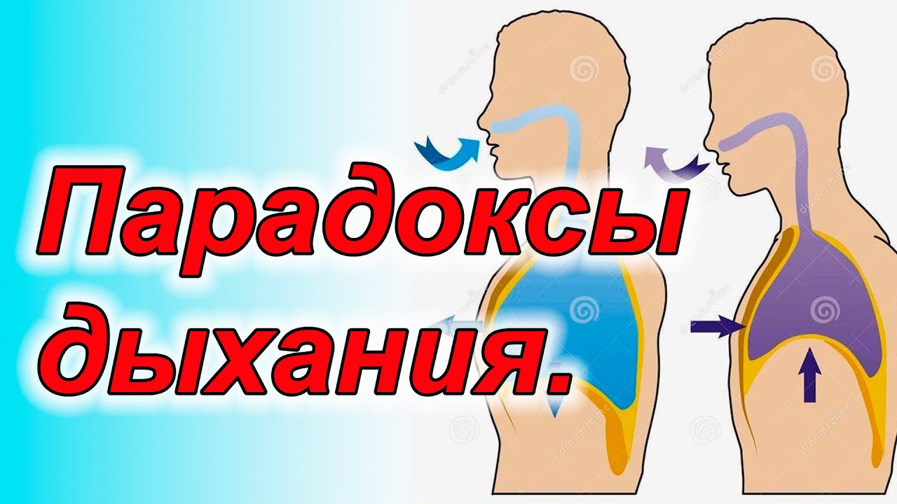 Парадоксы дыхания.Невероятные факты.