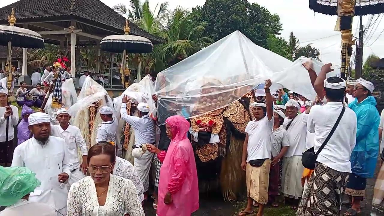 Ida sesuhun pura gunung sari lunga ngunya ring pura puseh desa adat belayu#rahayu 