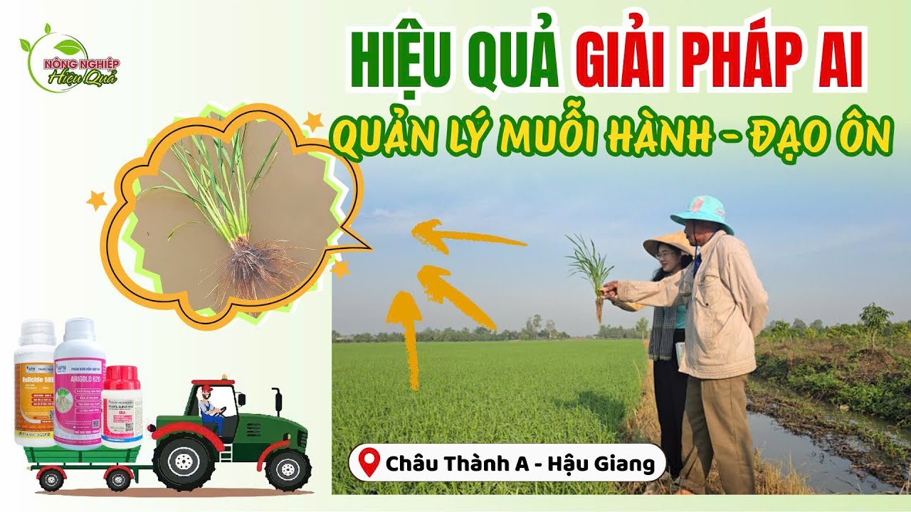 REVIEW KỲ 124| HIỆU QUẢ GIẢI PHÁP AI – QUẢN LÝ MUỖI HÀNH – ĐẠO ÔN TRÊN LÚA ĐÔNG XUÂN #agriculture