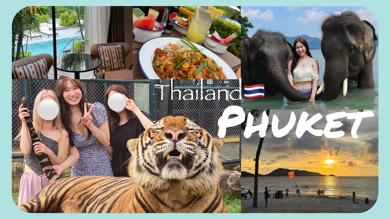 【VLOG】遂に初海外へ！！プーケットまでの移動日 タイガーキングダム・エレファントスイムツアー🐯🐘