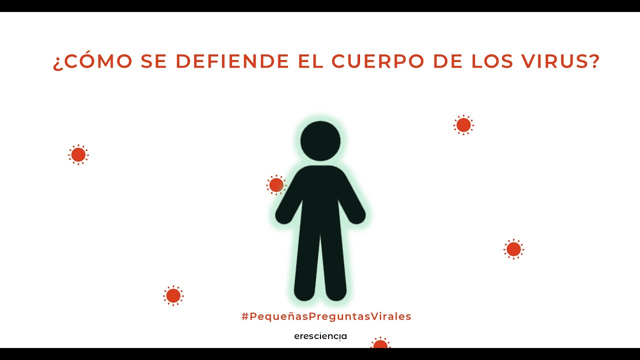 ¿Cómo se defiende el cuerpo de los virus? - El sistema Inmune