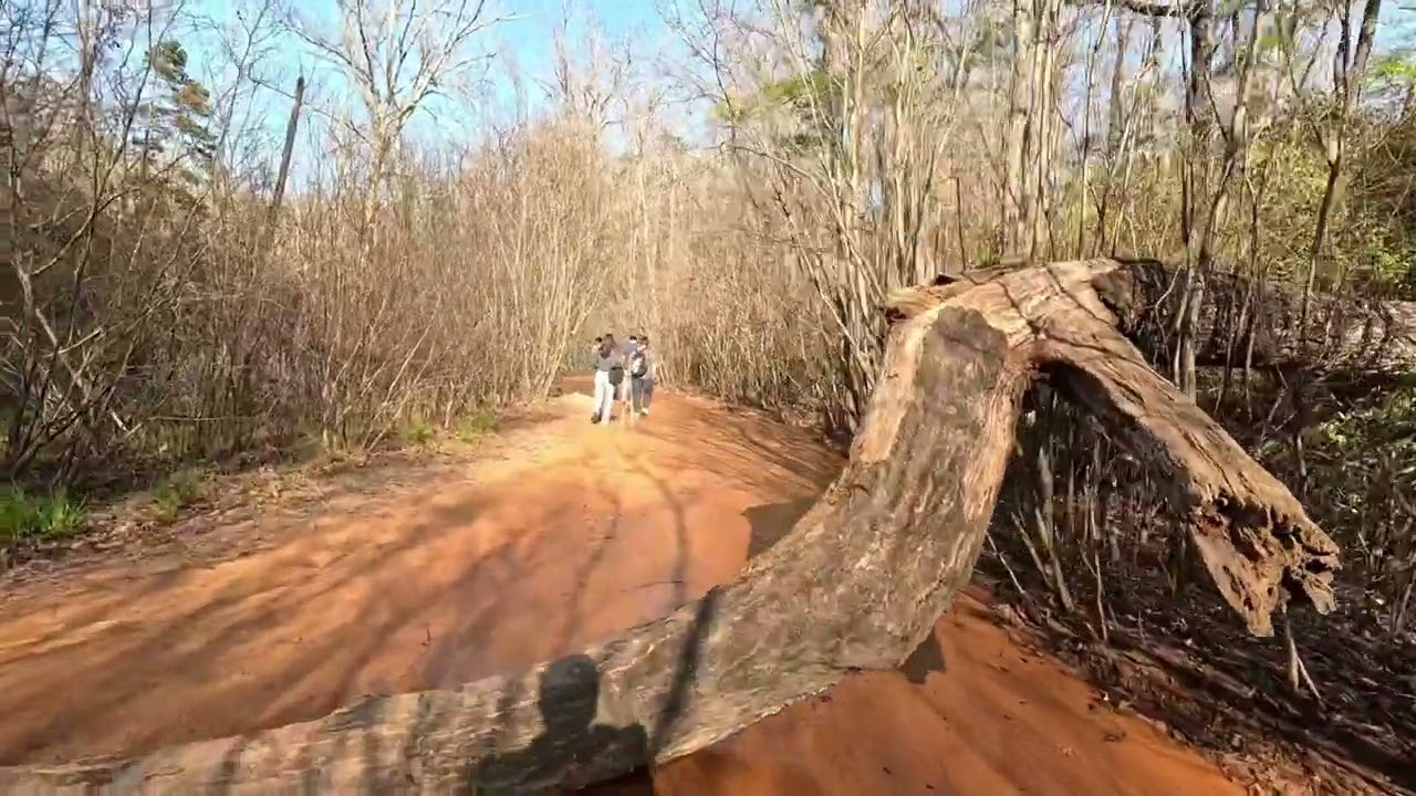 Things to do in Georgia! Hike to Providence Canyon State Park 