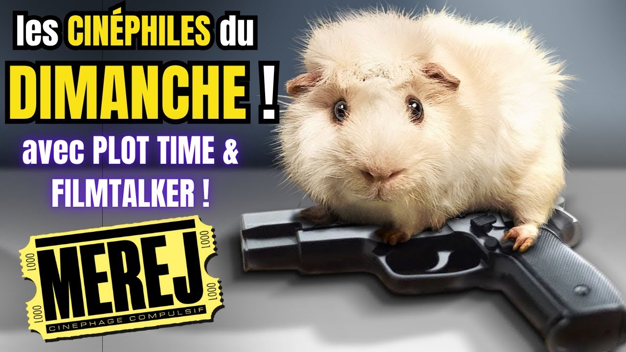 LIVE avec des FLINGUES et des ANIMAUX !