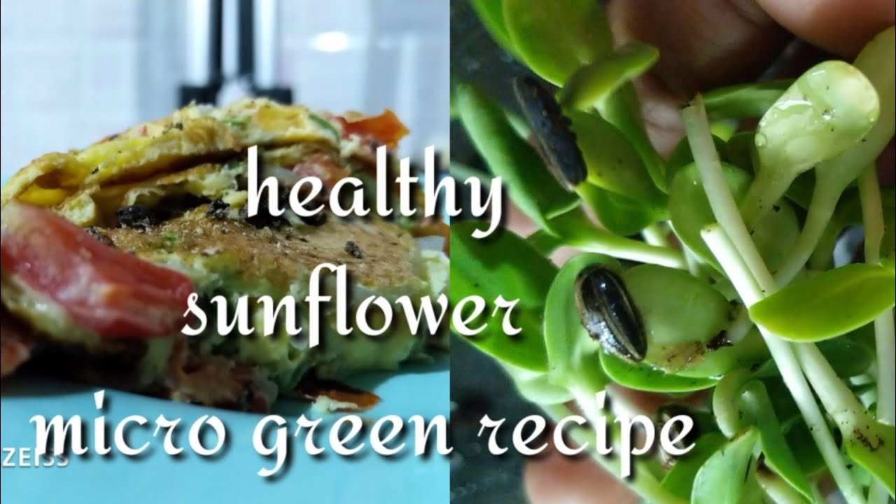 Healthy micro green recipe/sunflower micro greens/green lady