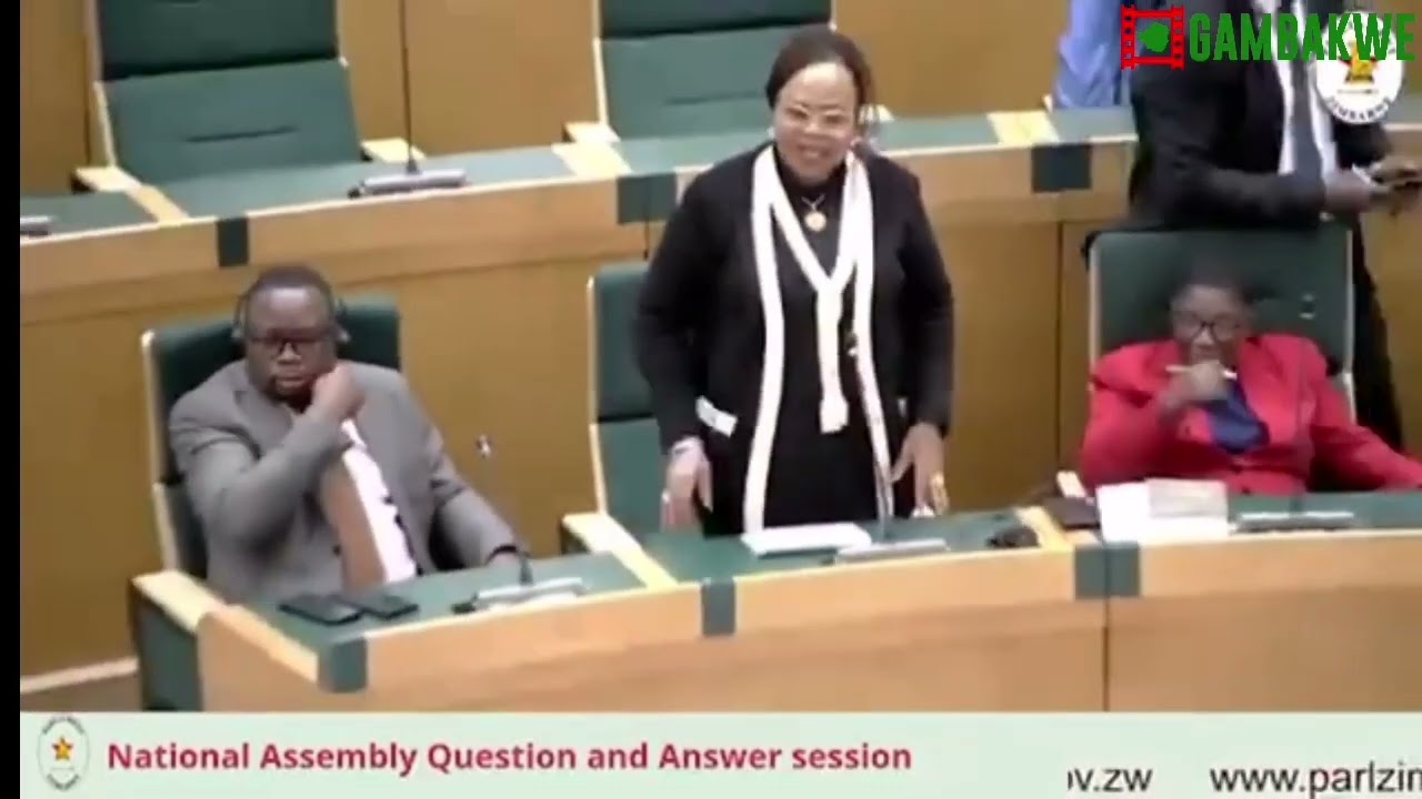 Chaos In Zimbabwe's Parliament over language translation.