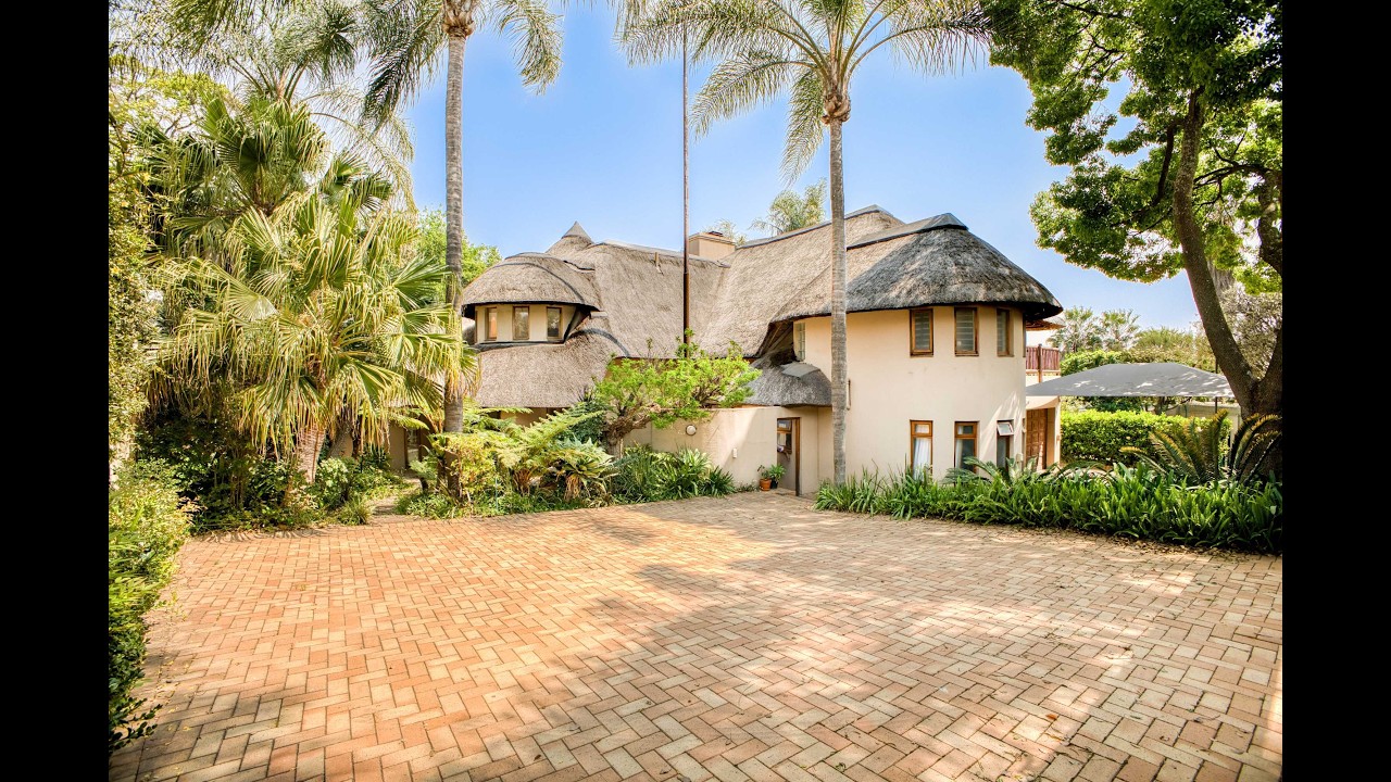 Escape to the Bush – In the Heart of Morningside