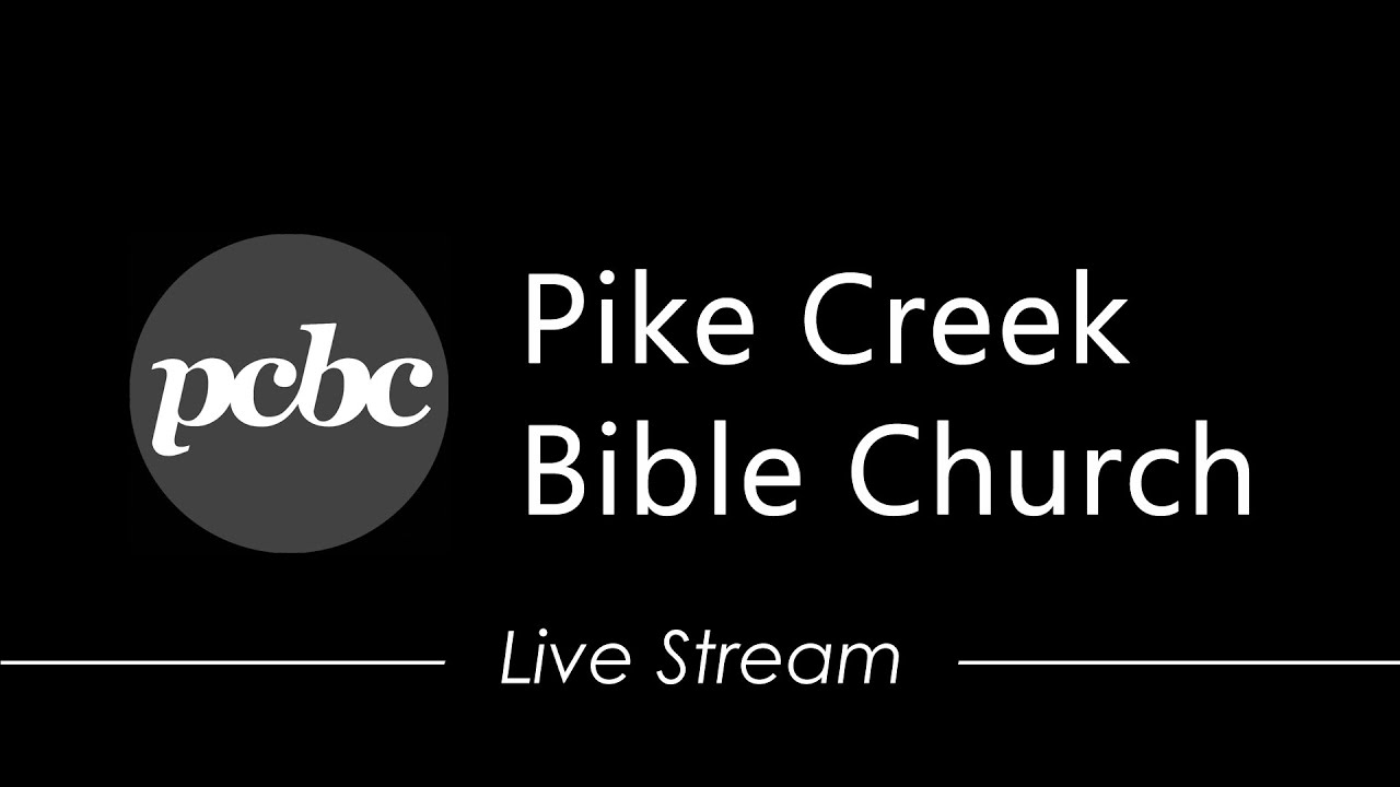 February 8, 2026 - Live Stream