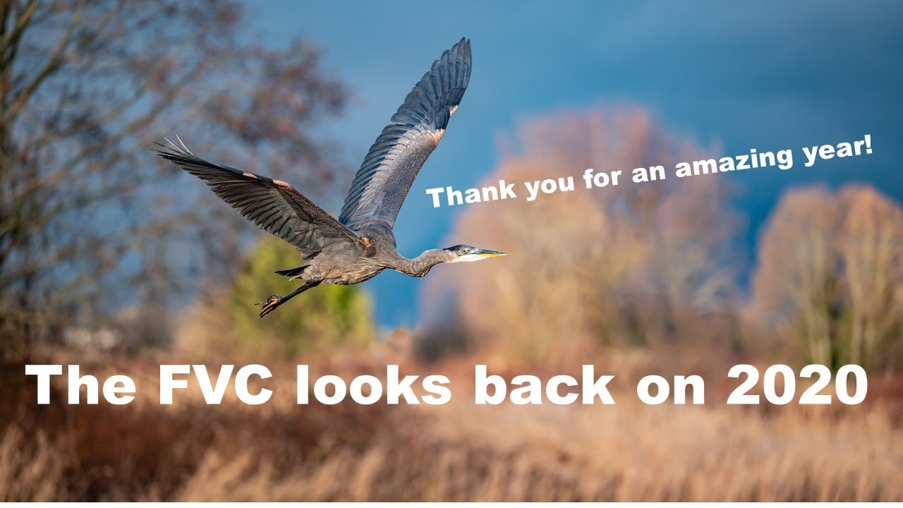 FVC 2020 Retrospective