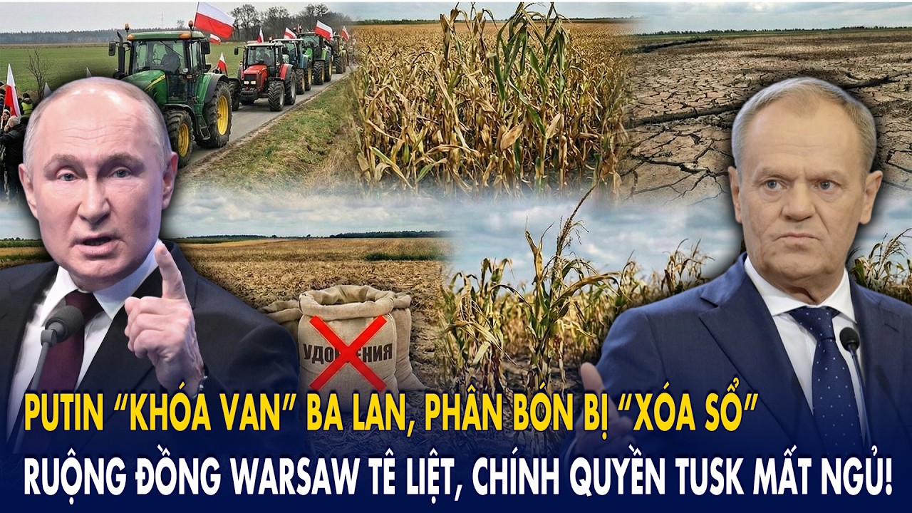 Putin “khóa van” Ba Lan, phân bón bị “xóa sổ”: Ruộng đồng Warsaw tê liệt, chính quyền Tusk mất ngủ!