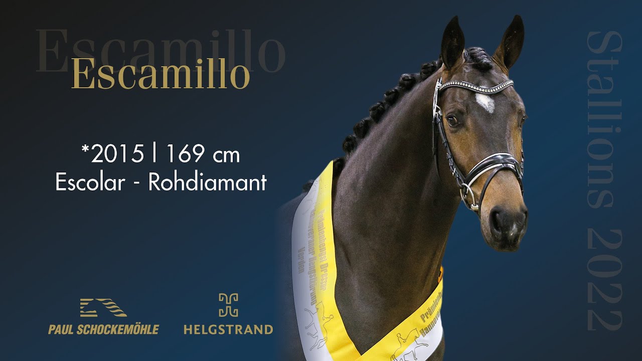 Escamillo - Dressage Collection 2022 Schockemöhle & Helgstrand (ENG)