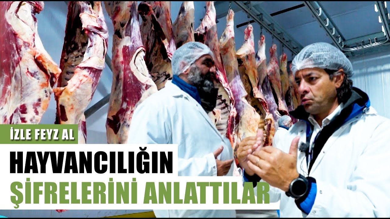 Sencer Solakoğlu Ve Eşref Şekerli'den Hayvancılığın Şifreleri | İzle Feyz Al